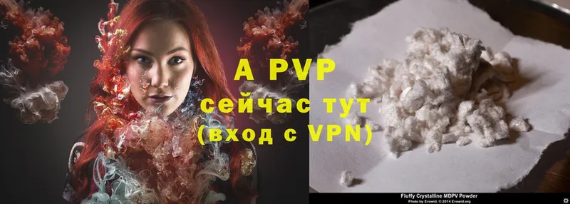 A PVP СК  OMG tor  Глазов 